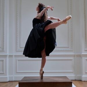 The Black Swan Degas Dress Medium